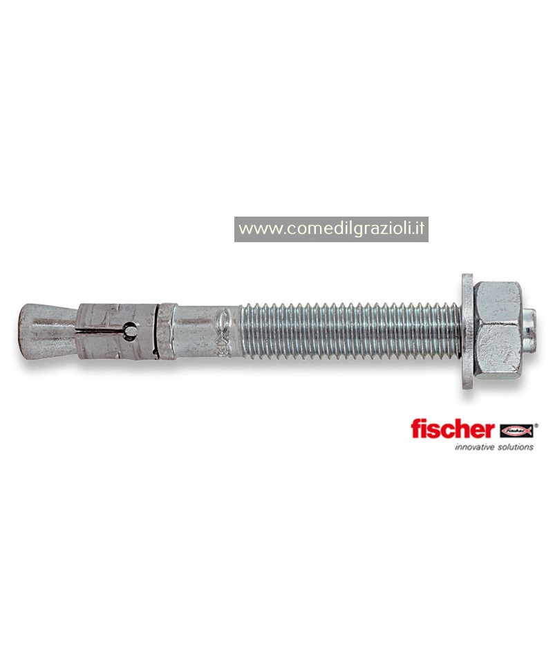 TASSELLI FBN 12/10 FISCHER...