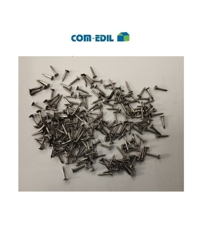 CHIODI SEMENZA PICCOLI IN...