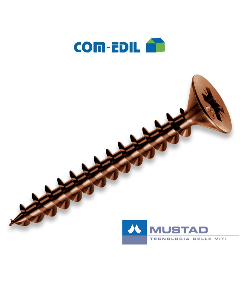 VITI AUTOFILETTANTI...