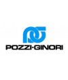 Pozzi ginori